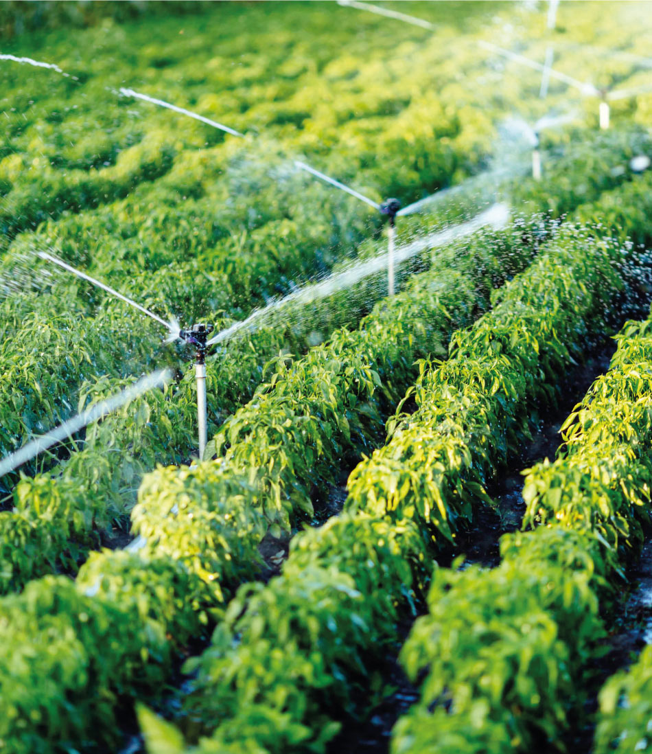 هوش مصنوعی در کشاورزی