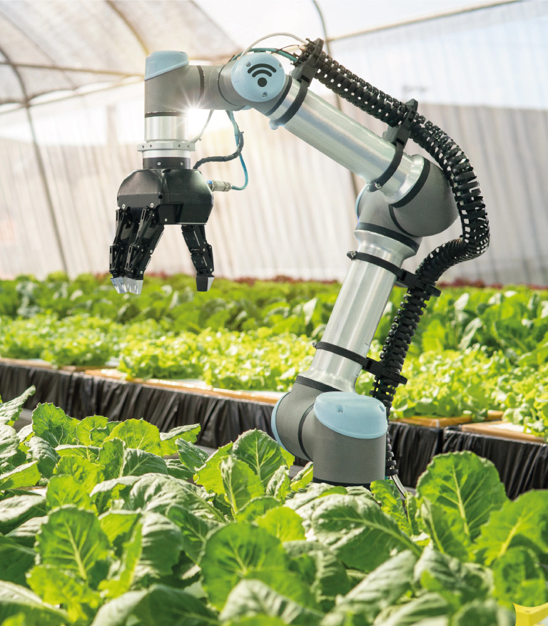 هوش مصنوعی در کشاورزی
